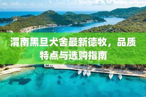 渭南黑旦犬舍最新德牧，品質(zhì)特點與選購指南