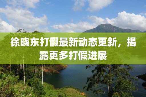 徐曉東打假最新動(dòng)態(tài)更新，揭露更多打假進(jìn)展