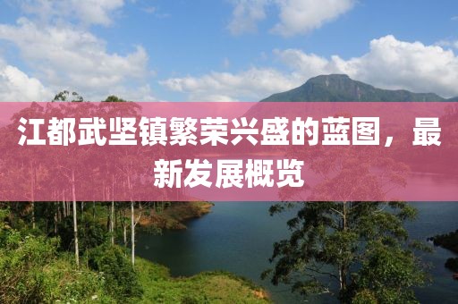 江都武堅(jiān)鎮(zhèn)繁榮興盛的藍(lán)圖，最新發(fā)展概覽