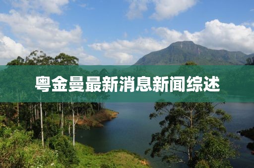 粵金曼最新消息新聞綜述
