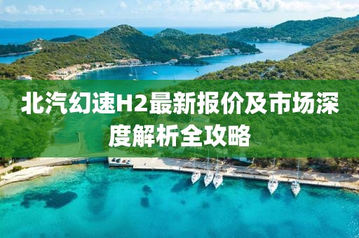 北汽幻速H2最新報價及市場深度解析全攻略