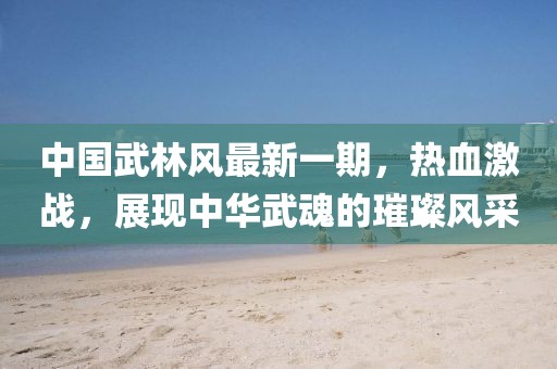 中國(guó)武林風(fēng)最新一期，熱血激戰(zhàn)，展現(xiàn)中華武魂的璀璨風(fēng)采