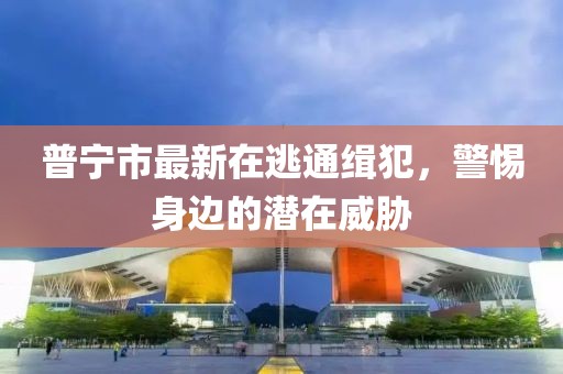 普寧市最新在逃通緝犯，警惕身邊的潛在威脅