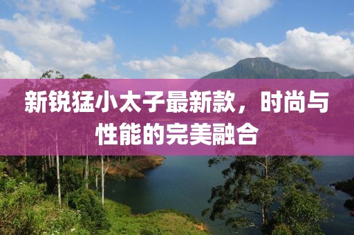 新銳猛小太子最新款，時(shí)尚與性能的完美融合