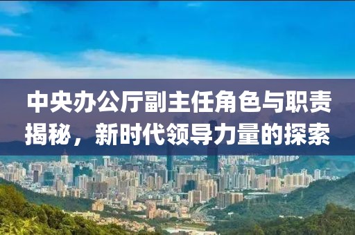 中央辦公廳副主任角色與職責(zé)揭秘，新時(shí)代領(lǐng)導(dǎo)力量的探索