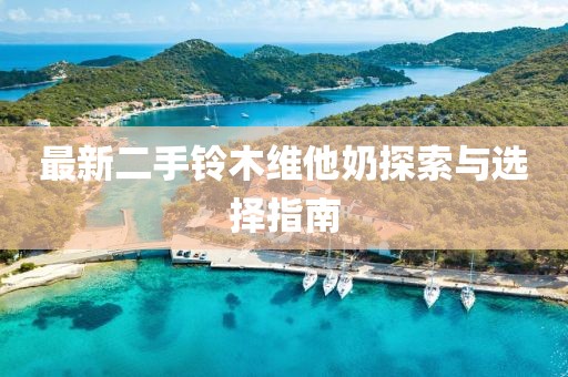 最新二手鈴木維他奶探索與選擇指南