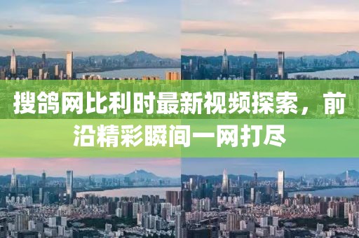搜鴿網(wǎng)比利時(shí)最新視頻探索，前沿精彩瞬間一網(wǎng)打盡