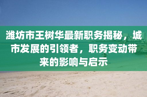 濰坊市王樹華最新職務(wù)揭秘，城市發(fā)展的引領(lǐng)者，職務(wù)變動帶來的影響與啟示