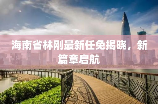 海南省林剛最新任免揭曉，新篇章啟航