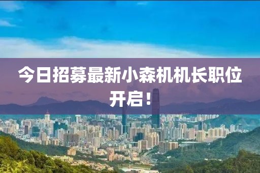 今日招募最新小森機(jī)機(jī)長職位開啟！
