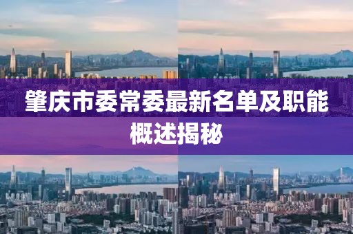 肇慶市委常委最新名單及職能概述揭秘