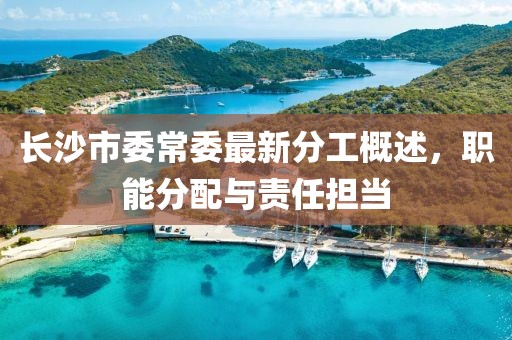 長(zhǎng)沙市委常委最新分工概述，職能分配與責(zé)任擔(dān)當(dāng)