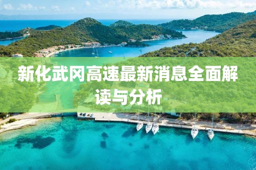 新化武岡高速最新消息全面解讀與分析