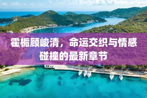 霍梔顧峻清，命運(yùn)交織與情感碰撞的最新章節(jié)