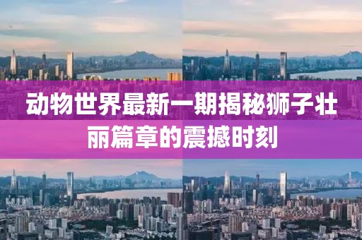 動物世界最新一期揭秘獅子壯麗篇章的震撼時(shí)刻