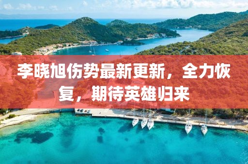 李曉旭傷勢最新更新，全力恢復(fù)，期待英雄歸來