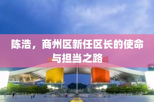 陳浩，商州區(qū)新任區(qū)長的使命與擔(dān)當(dāng)之路