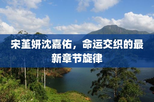 宋堇妍沈嘉佑，命運(yùn)交織的最新章節(jié)旋律