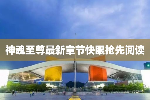 神魂至尊最新章節(jié)快眼搶先閱讀