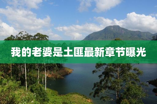 我的老婆是土匪最新章節(jié)曝光