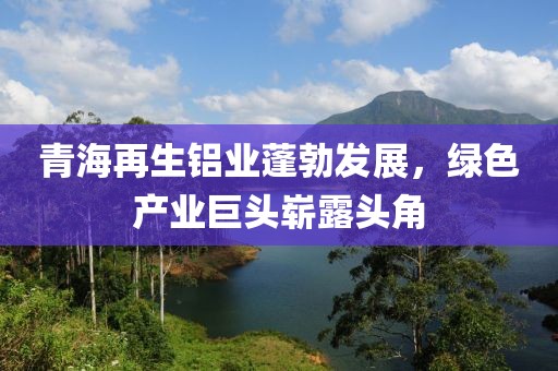 青海再生鋁業(yè)蓬勃發(fā)展，綠色產(chǎn)業(yè)巨頭嶄露頭角
