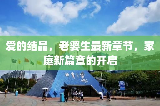 愛的結(jié)晶，老婆生最新章節(jié)，家庭新篇章的開啟