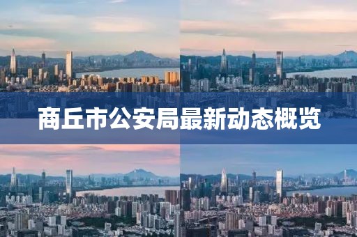 商丘市公安局最新動(dòng)態(tài)概覽