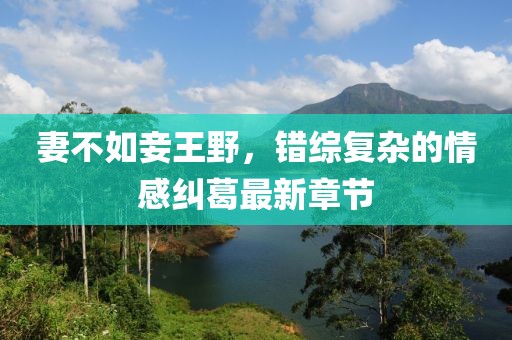 寰鸞 第11頁