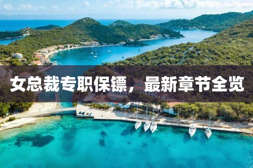 女總裁專職保鏢，最新章節(jié)全覽