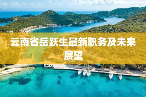 云南省岳躍生最新職務(wù)及未來展望