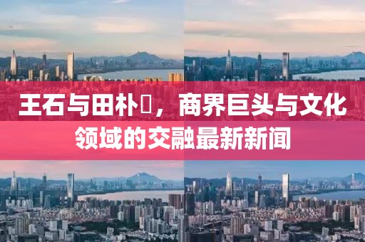 王石與田樸琤，商界巨頭與文化領(lǐng)域的交融最新新聞