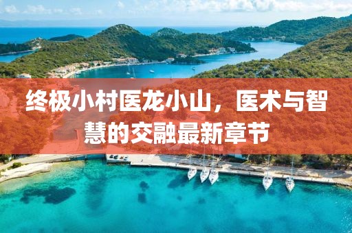 終極小村醫(yī)龍小山，醫(yī)術(shù)與智慧的交融最新章節(jié)
