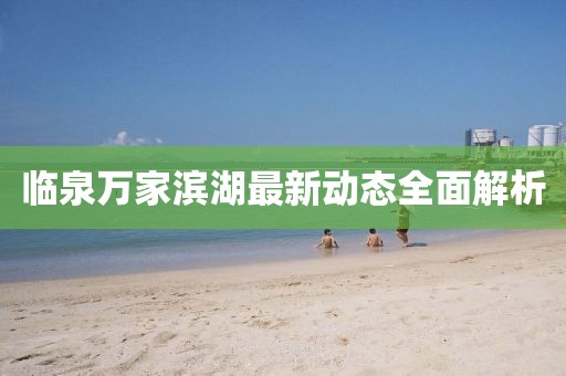 臨泉萬家濱湖最新動(dòng)態(tài)全面解析