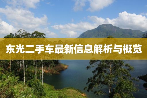 東光二手車最新信息解析與概覽