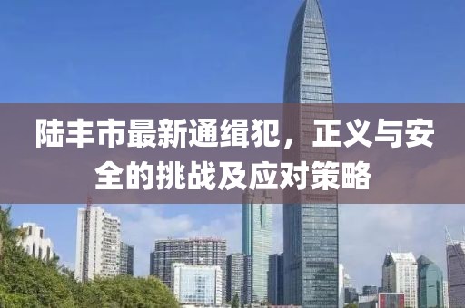 陸豐市最新通緝犯，正義與安全的挑戰(zhàn)及應(yīng)對(duì)策略