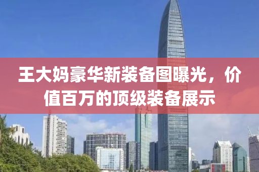 王大媽豪華新裝備圖曝光，價值百萬的頂級裝備展示