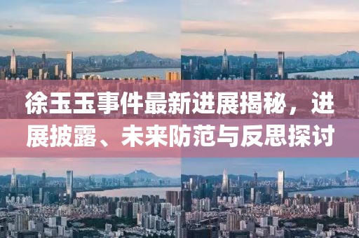 徐玉玉事件最新進展揭秘，進展披露、未來防范與反思探討