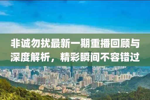 非誠勿擾最新一期重播回顧與深度解析，精彩瞬間不容錯過