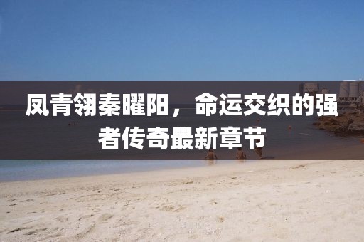 鳳青翎秦曜陽，命運交織的強者傳奇最新章節(jié)