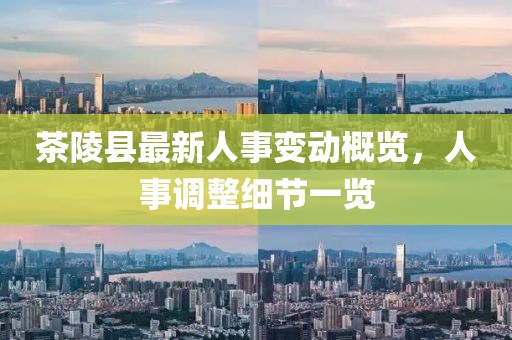茶陵縣最新人事變動概覽，人事調整細節(jié)一覽