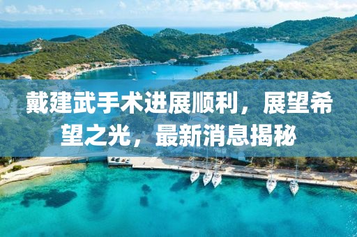 戴建武手術(shù)進展順利，展望希望之光，最新消息揭秘