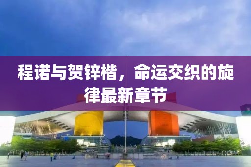 程諾與賀鋅楷，命運交織的旋律最新章節(jié)