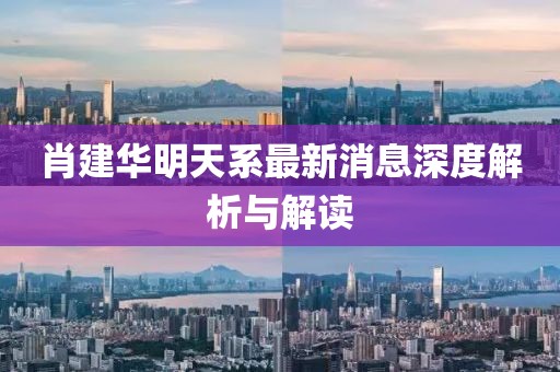 肖建華明天系最新消息深度解析與解讀