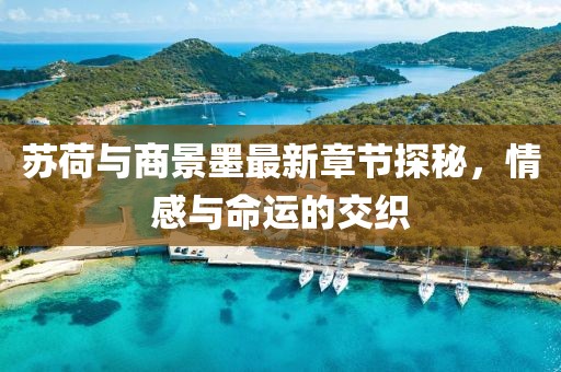 蘇荷與商景墨最新章節(jié)探秘，情感與命運(yùn)的交織