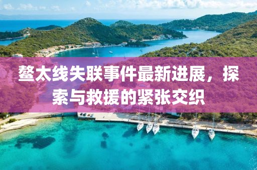 鰲太線失聯(lián)事件最新進展，探索與救援的緊張交織