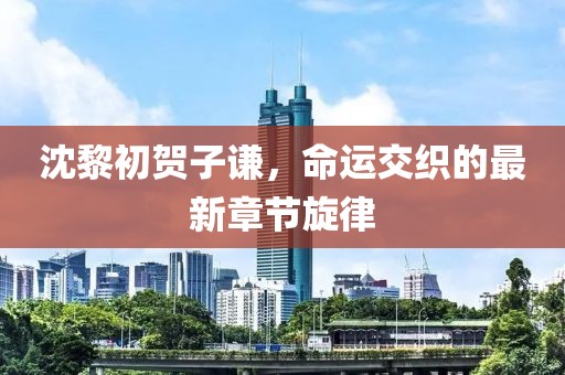 沈黎初賀子謙，命運交織的最新章節(jié)旋律