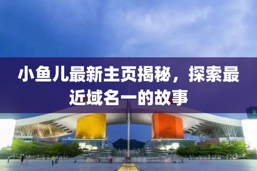 小魚兒最新主頁揭秘，探索最近域名一的故事