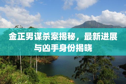 金正男謀殺案揭秘，最新進展與兇手身份揭曉