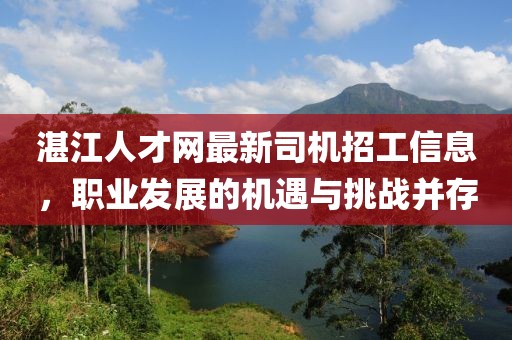 湛江人才網(wǎng)最新司機(jī)招工信息，職業(yè)發(fā)展的機(jī)遇與挑戰(zhàn)并存