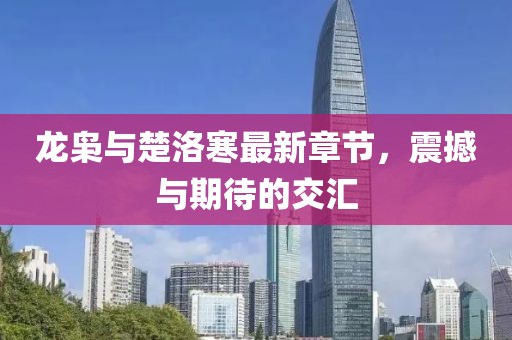 龍梟與楚洛寒最新章節(jié)，震撼與期待的交匯